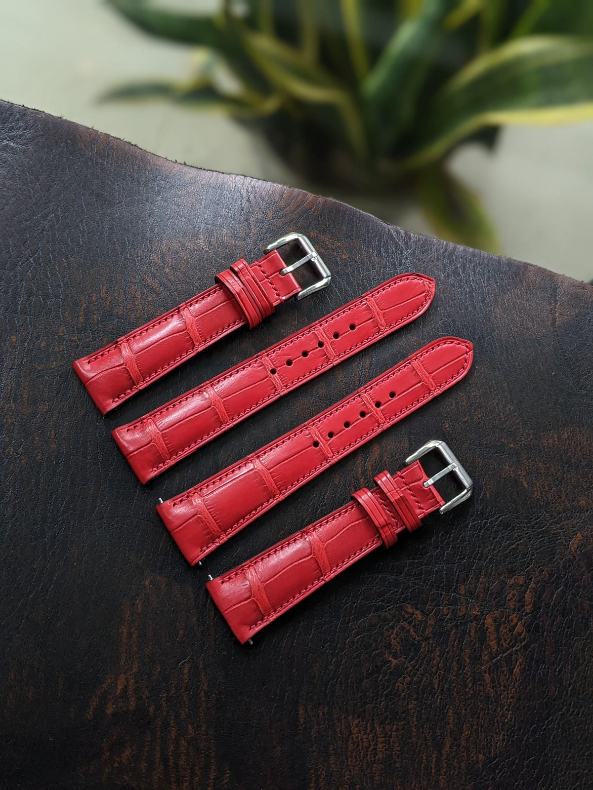 Red Alligator Leather Watch Strap – Handmade | 18mm to 24mm